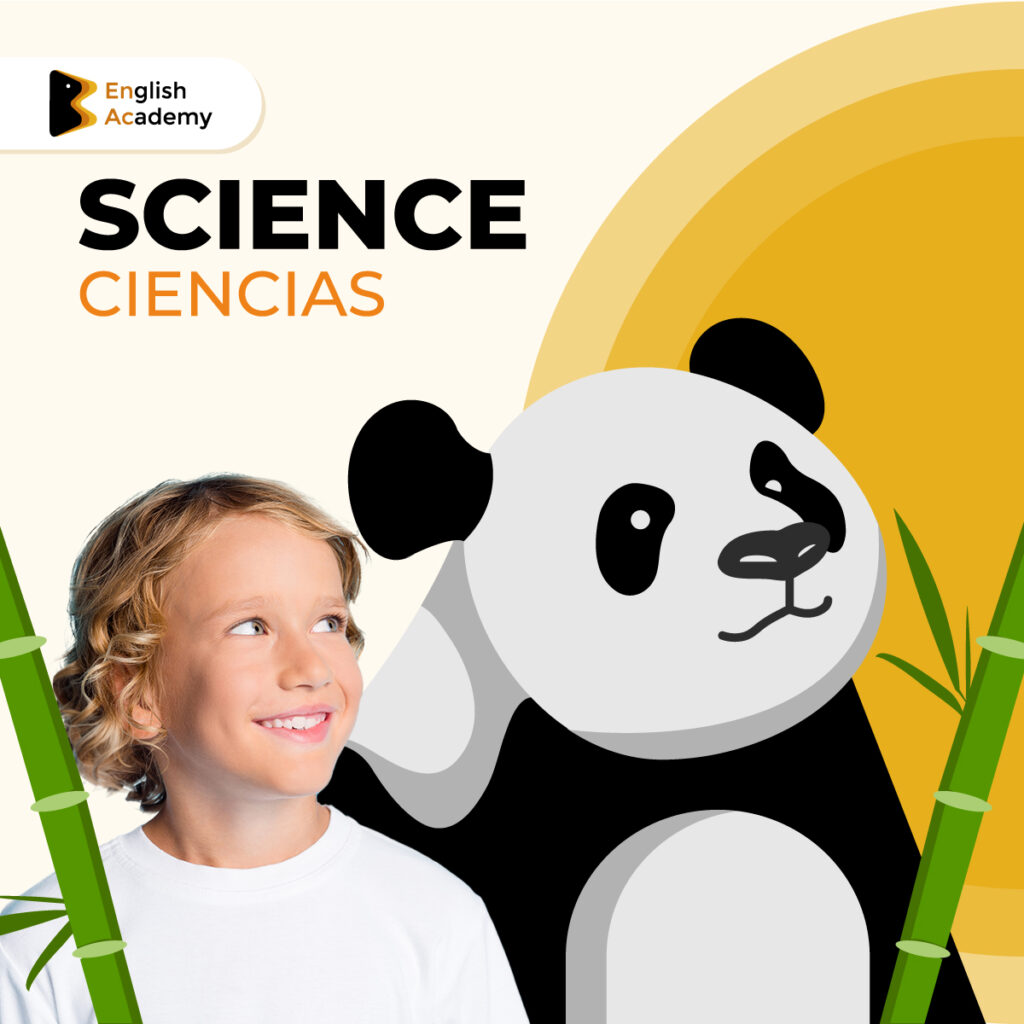 STEAM-IMG-KIDS1